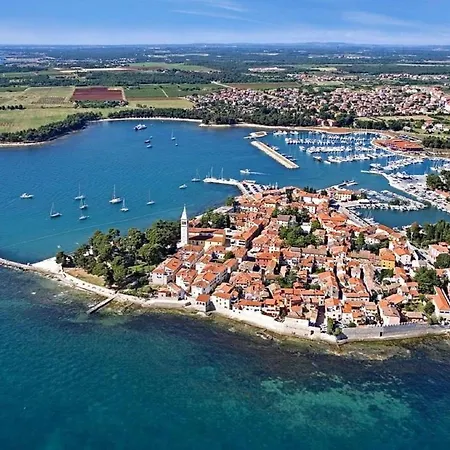 Splendid In Novigrad Near Sea *